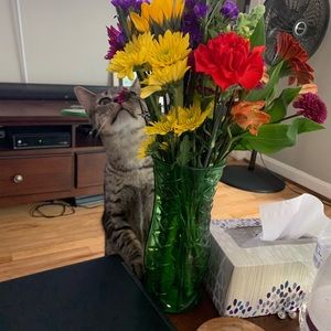 Meet your Posher, Heather